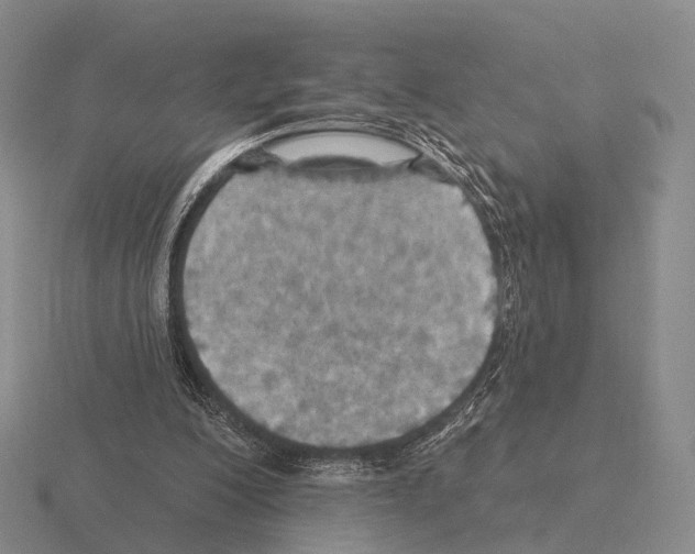 X0000115450200200912161521