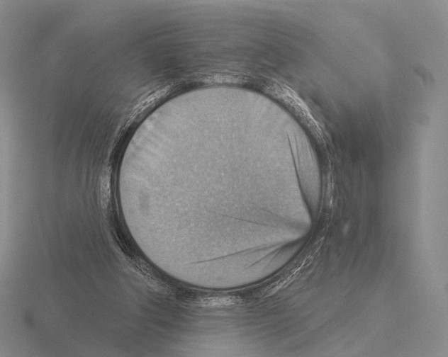 X0000115450202200912161521