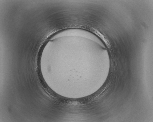 X0000115450203200912161521