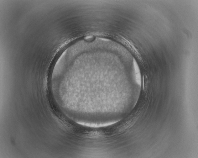 X0000115450204200912161521