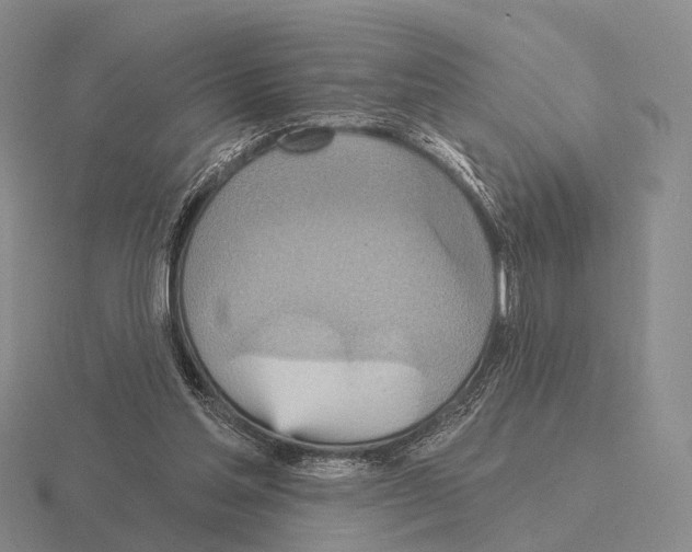 X0000115450205200912161521