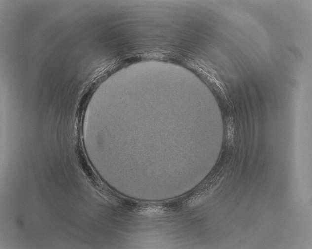 X0000115450206200912161521