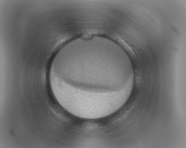 X0000115450207200912161521