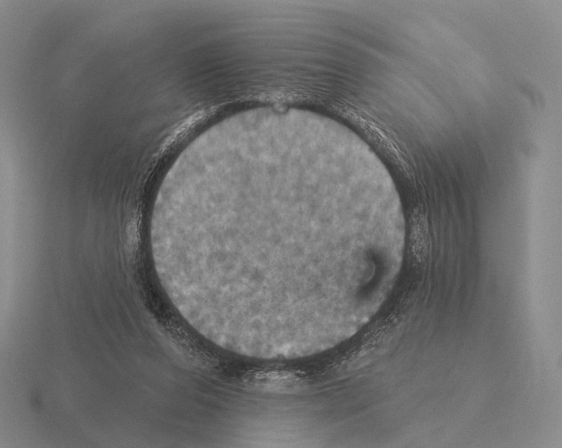 X0000115450208200912161521