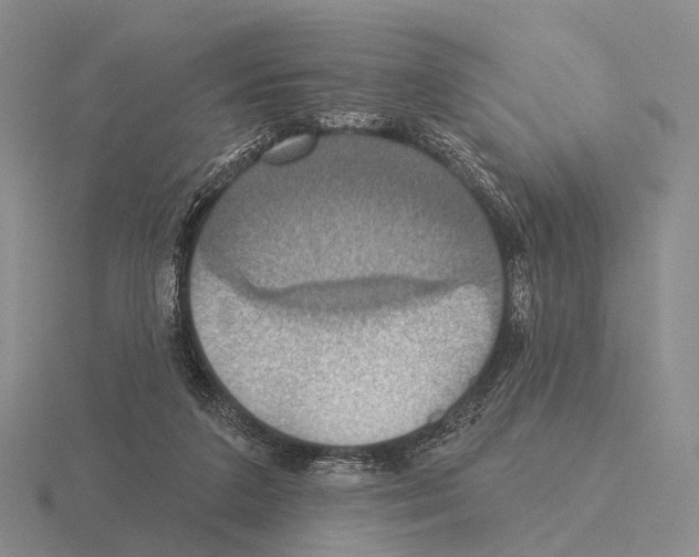 X0000115450211200912161521