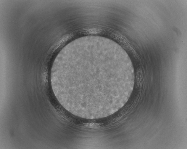 X0000115450212200912161521