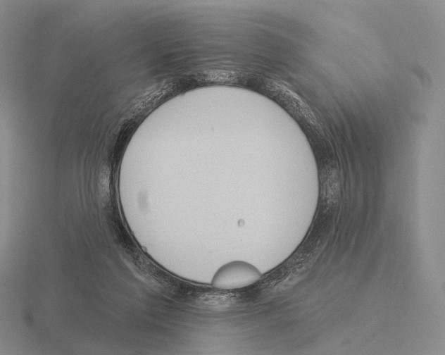 X0000115450213200912161521