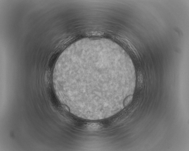 X0000115450218200912161521