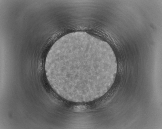 X0000115450220200912161521