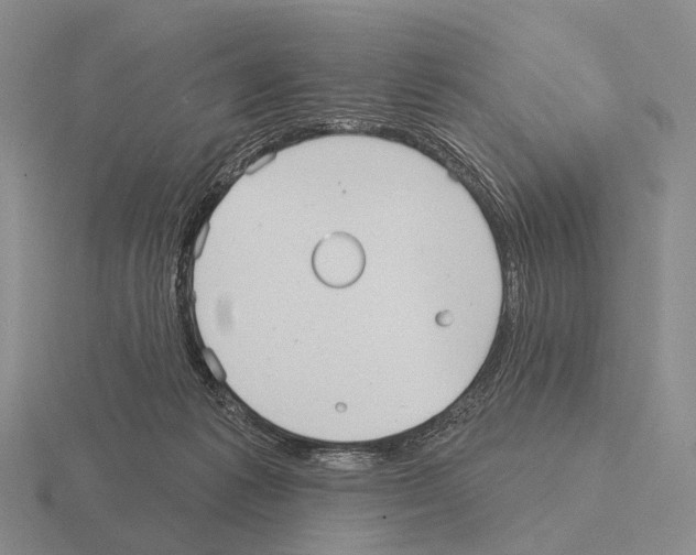 X0000115450221200912161521