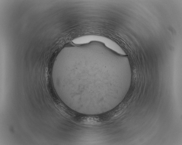 X0000115450223200912161521