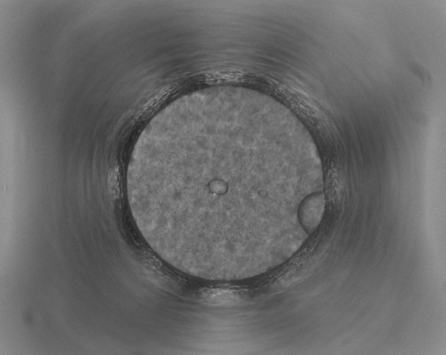 X0000115450224200912161521