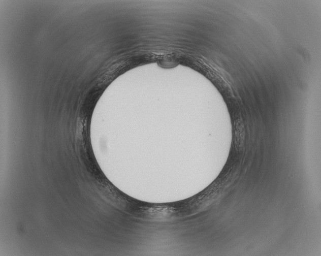 X0000115450225200912161521