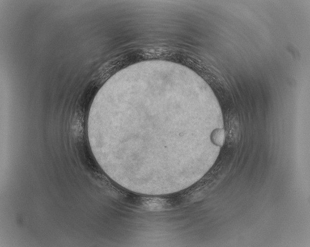 X0000115450226200912161521