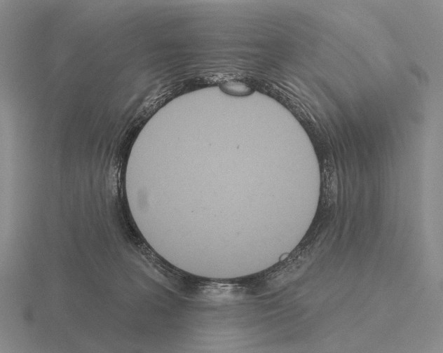 X0000115450227200912161521