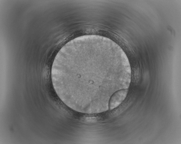 X0000115450228200912161521