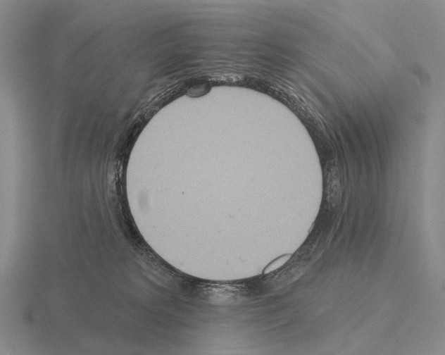 X0000115450229200912161521