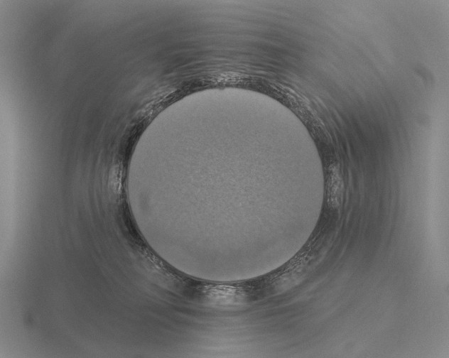 X0000115450230200912161521