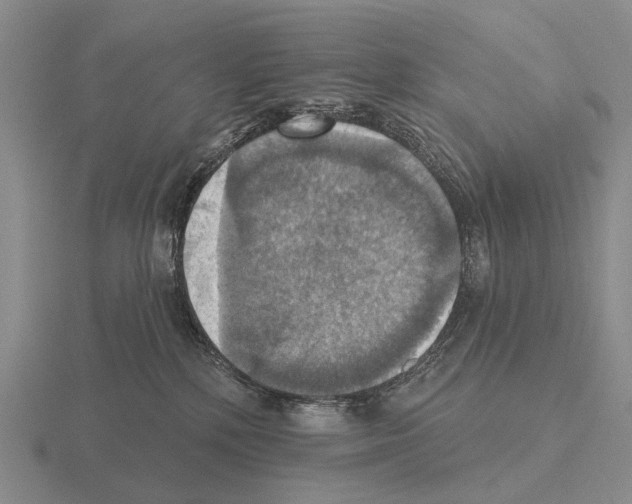 X0000115450232200912161521