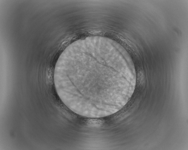 X0000115450234200912161521