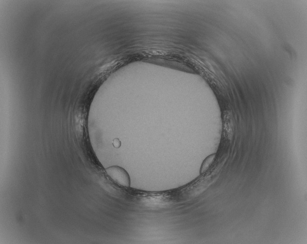 X0000115450235200912161520