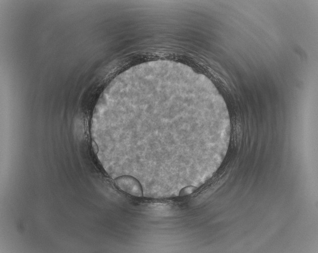 X0000115450236200912161520