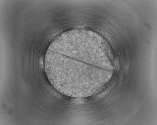 X0000115450238200912161520