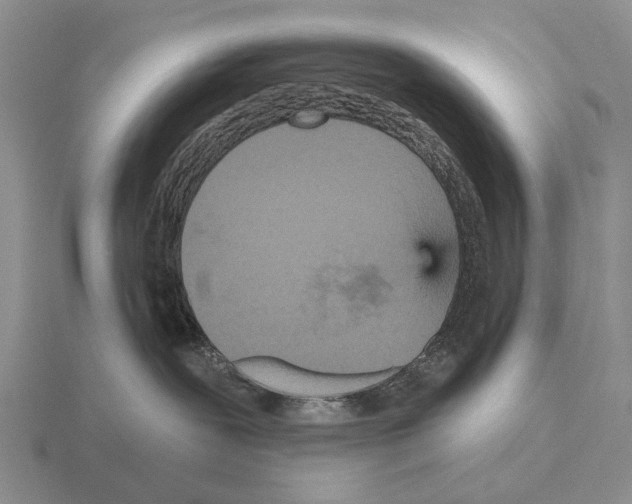 X0000115450239200912161520