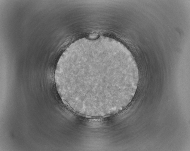 X0000115450240200912161520