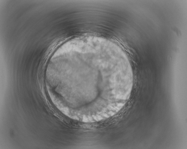 X0000115450241200912161520