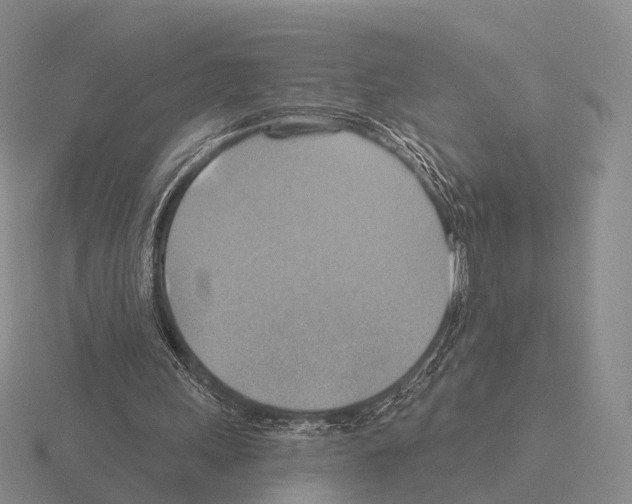 X0000115450243200912161520