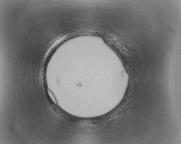 X0000115450244200912161520