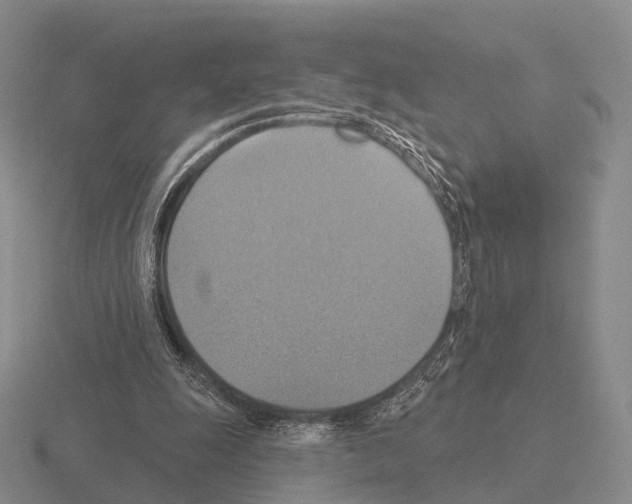 X0000115450247200912161520