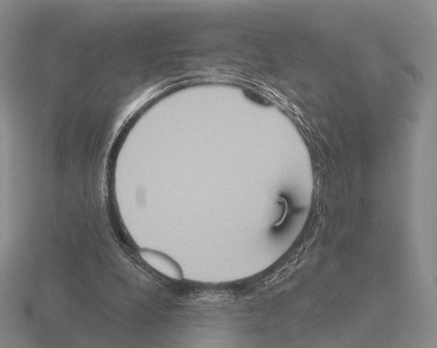 X0000115450248200912161520