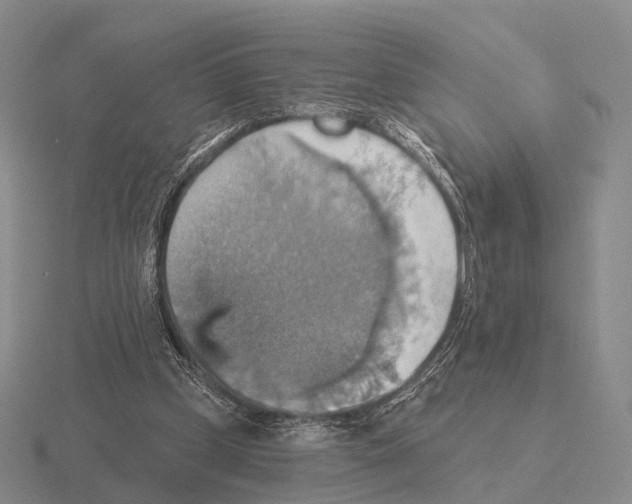 X0000115450249200912161520