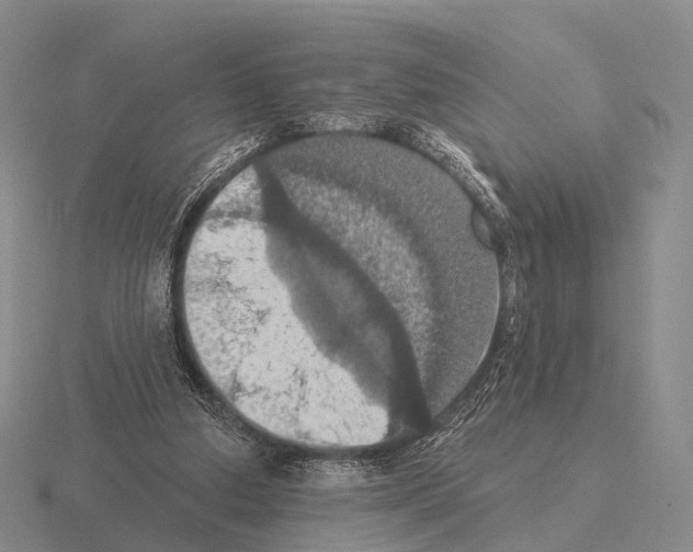 X0000115450250200912161520