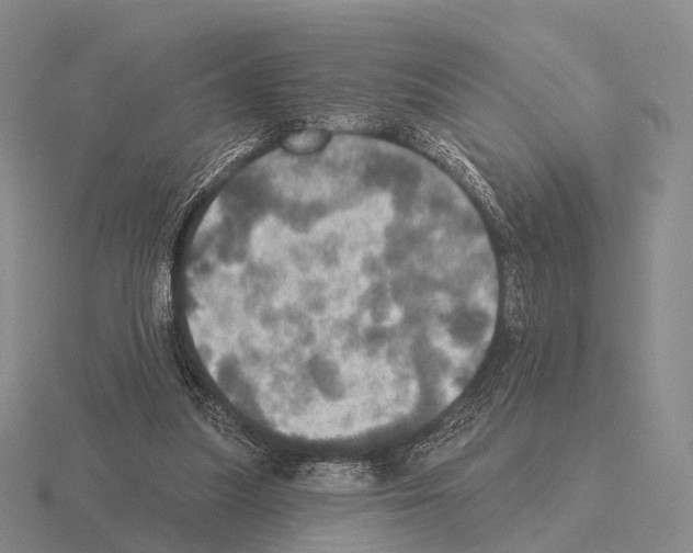 X0000115450251200912161520