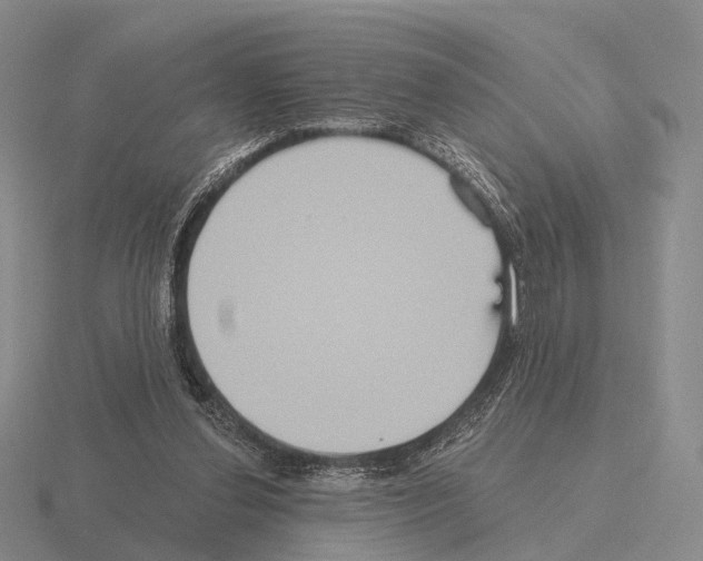 X0000115450252200912161520