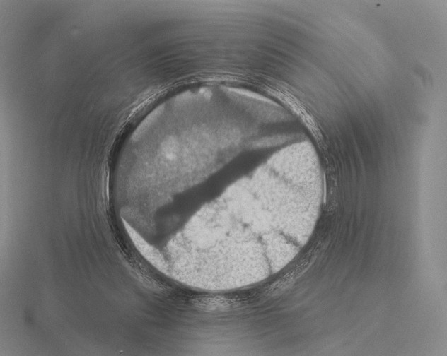 X0000115450253200912161520