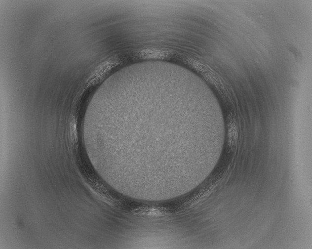 X0000115450254200912161520