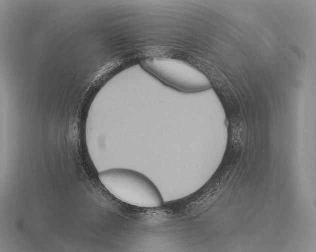 X0000115450256200912161520