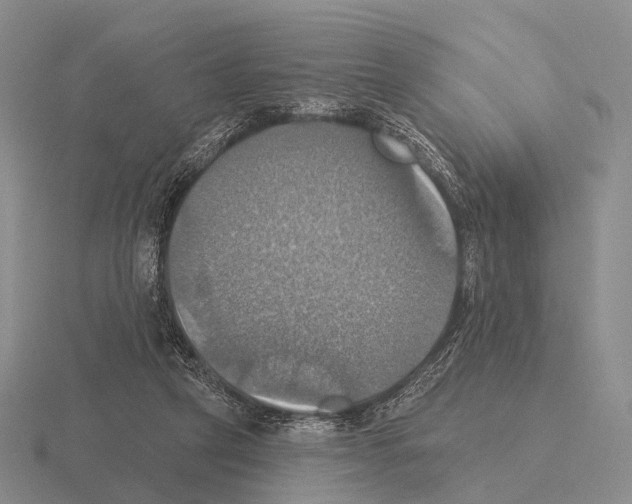 X0000115450257200912161520