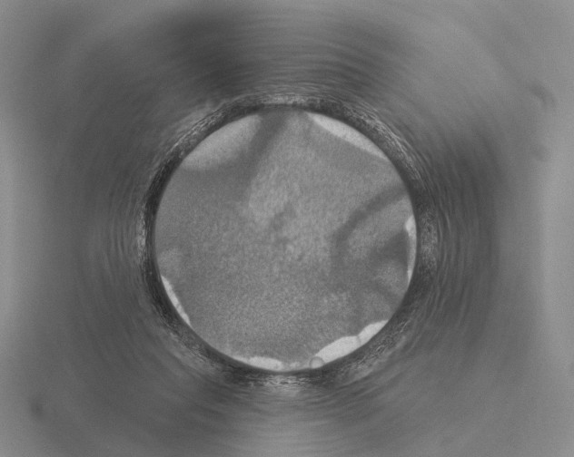 X0000115450261200912161520