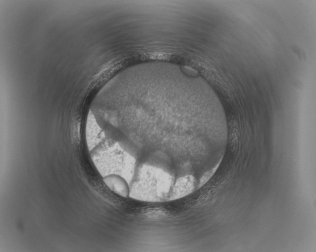 X0000115450262200912161520