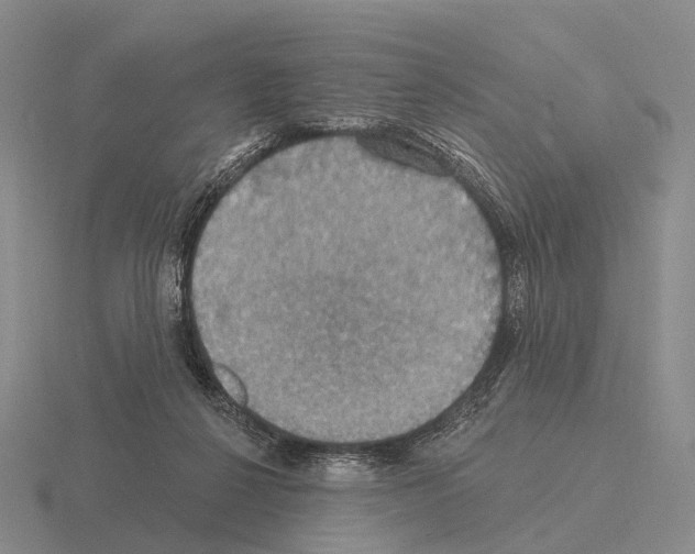 X0000115450264200912161520