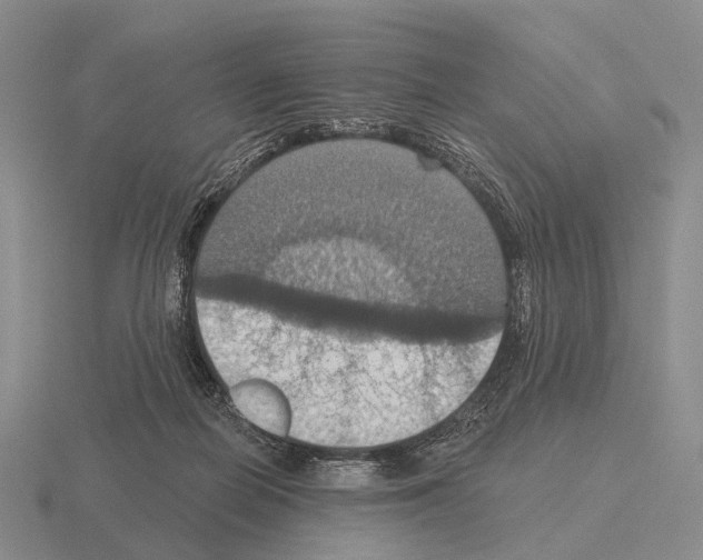 X0000115450266200912161520