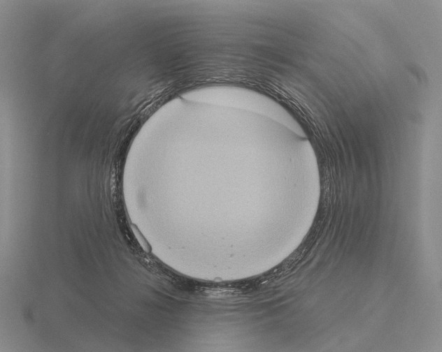 X0000115450268200912161520