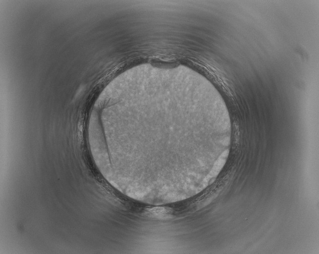 X0000115450269200912161520