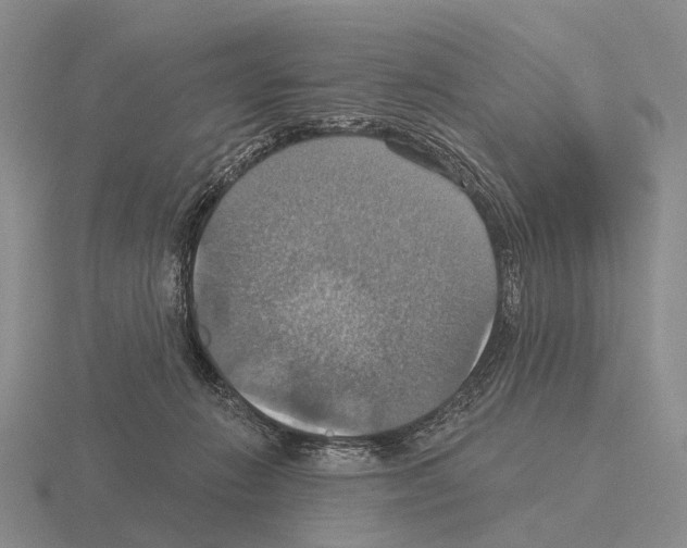 X0000115450270200912161520