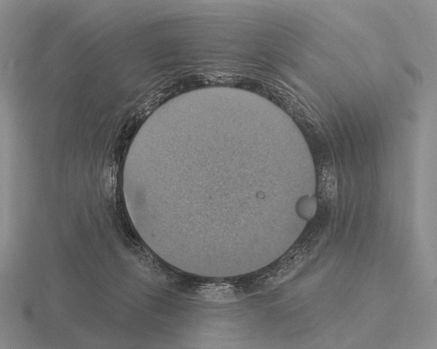 X0000115450271200912161520